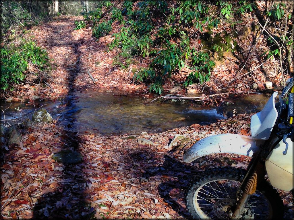 Virginia Highlands Horse Trail