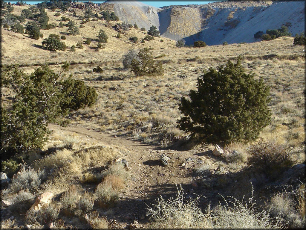 Lousetown Road Trail