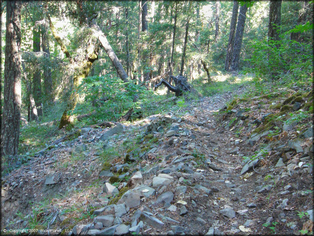 Some rocky terrain at Pilot Creek OHV Trails