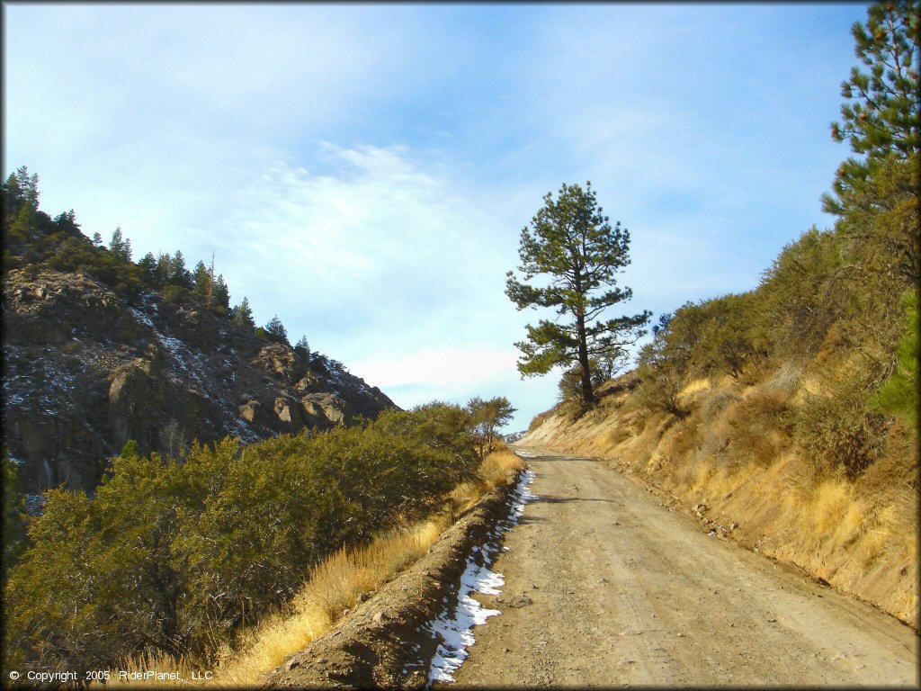 Some terrain at Timberline Road Trail