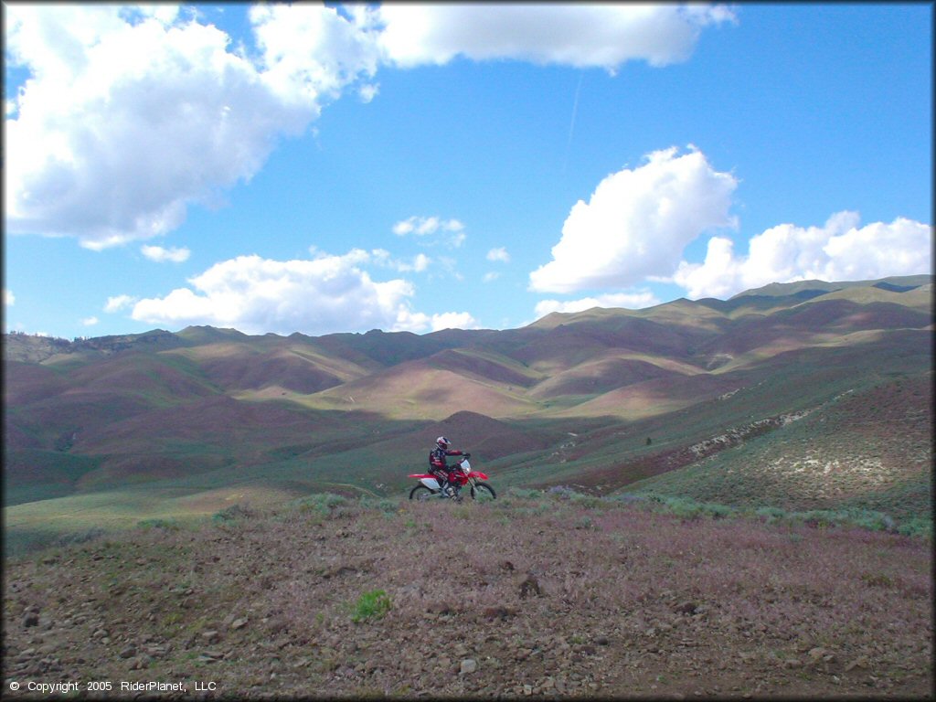 Honda CRF Motorcycle at Bull Ranch Creek Trail