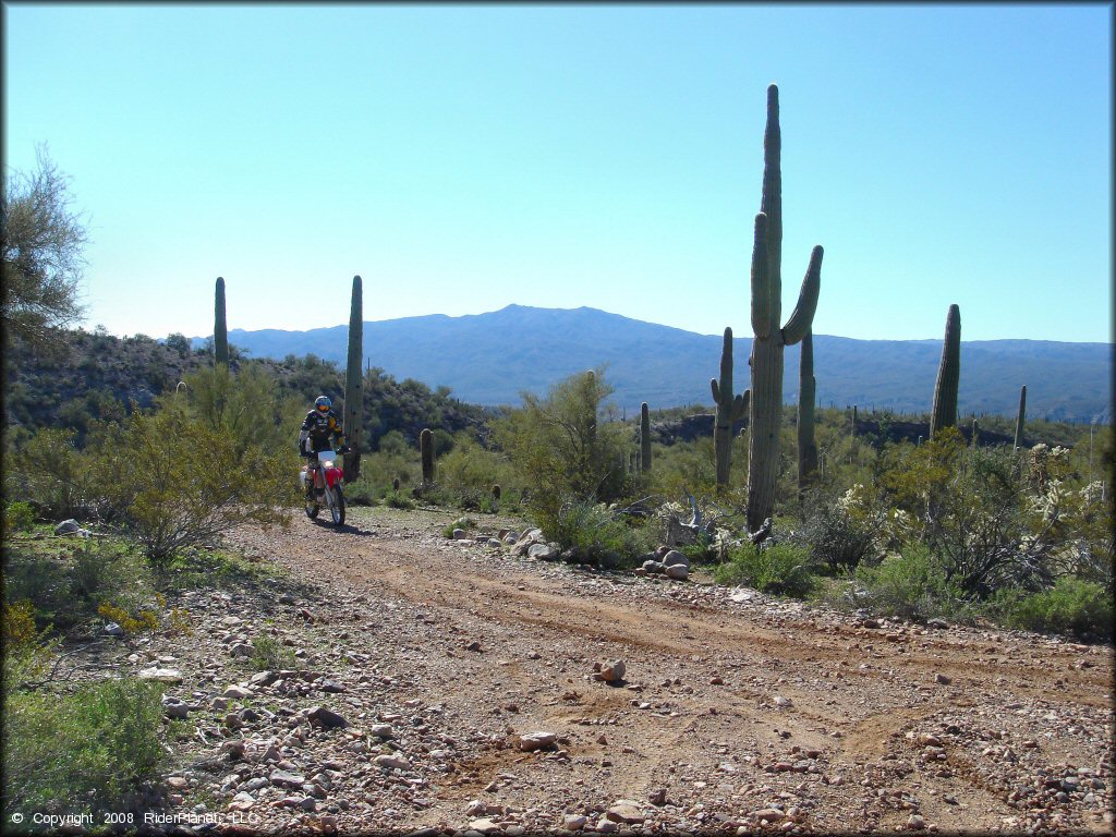 Honda CRF Motorbike at Mescal Mountain OHV Area Trail
