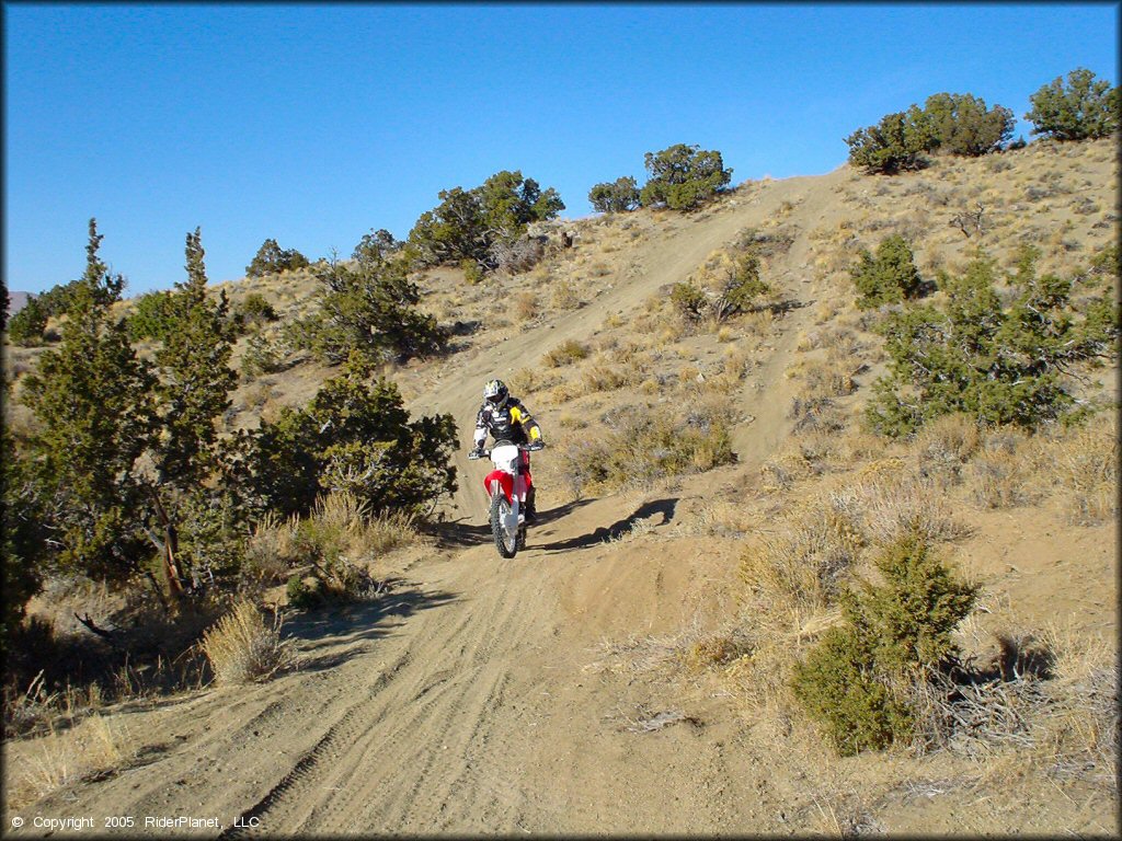 Honda CRF Motorcycle at Stead MX OHV Area