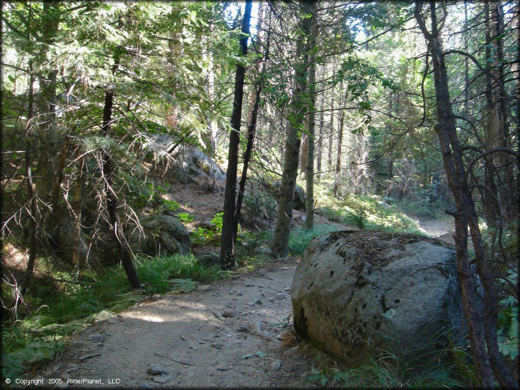 A trail at Miami Creek OHV Area Trail