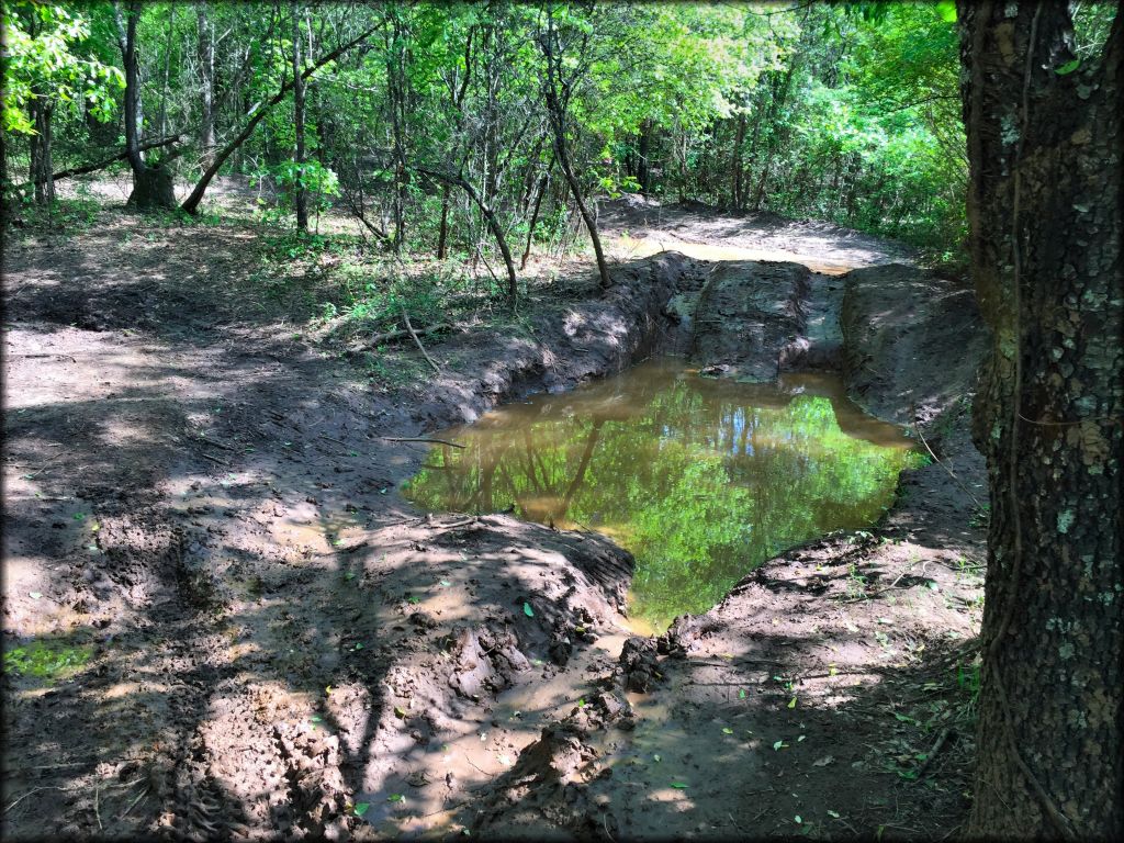 The Master's Motoplex OHV Area