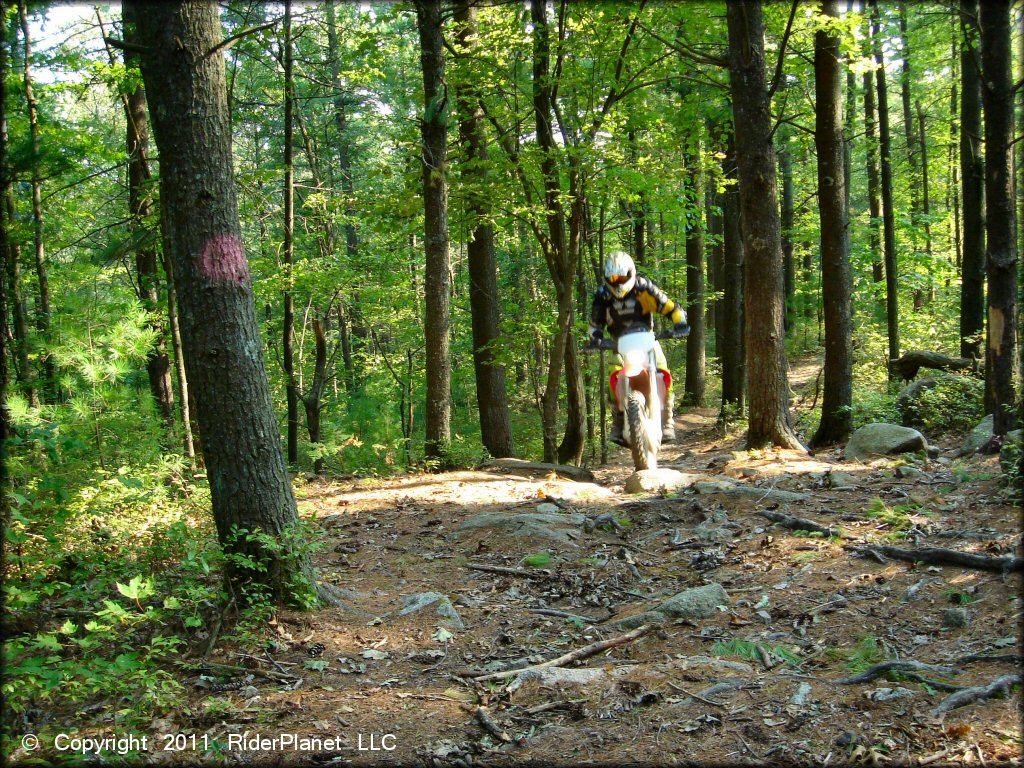 Honda CRF Dirt Bike at F. Gilbert Hills State Forest Trail