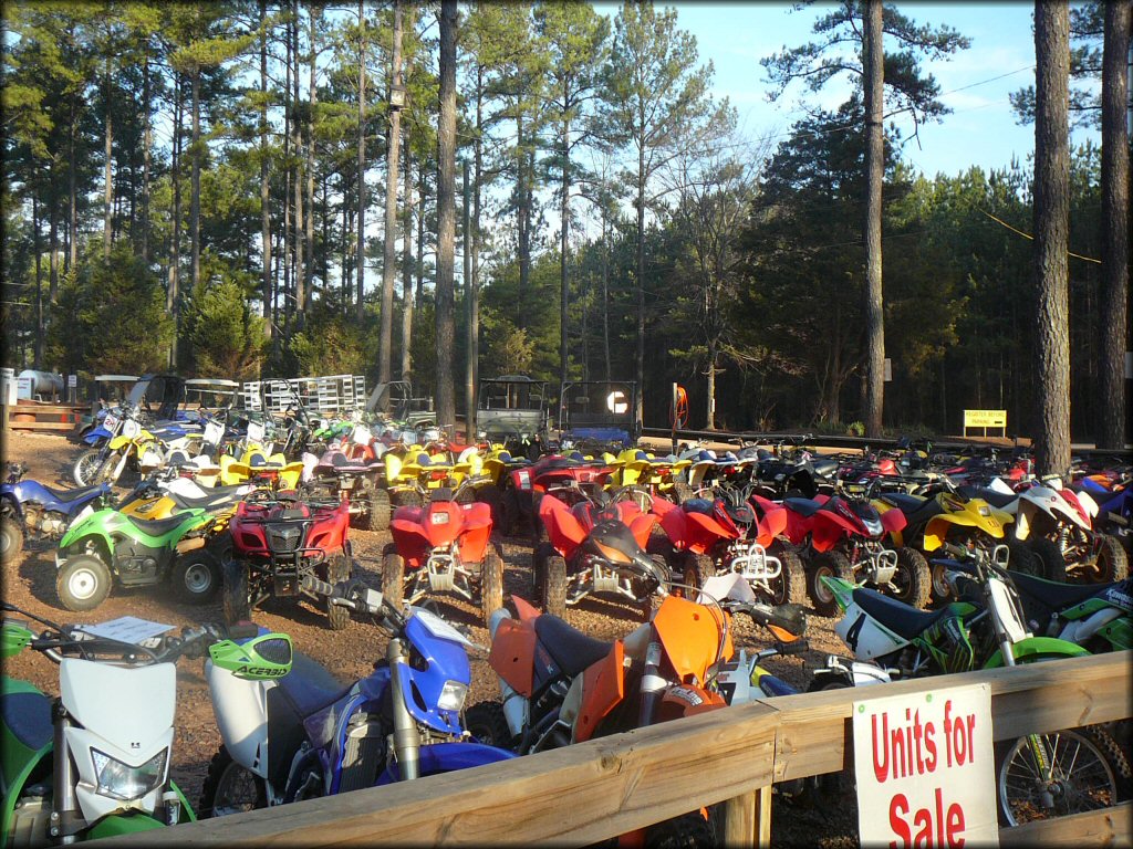 Photo of four wheelers, UTVs and dirt bikes for sale.