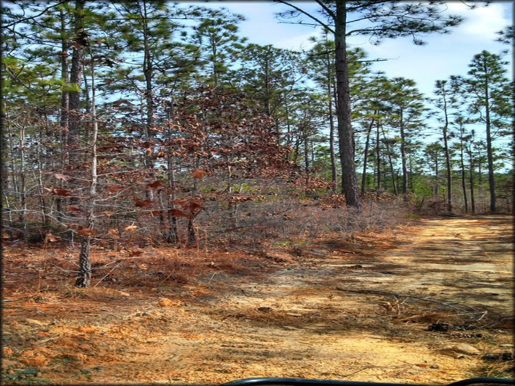 Example of terrain at MX 56 Track and Trails OHV Area