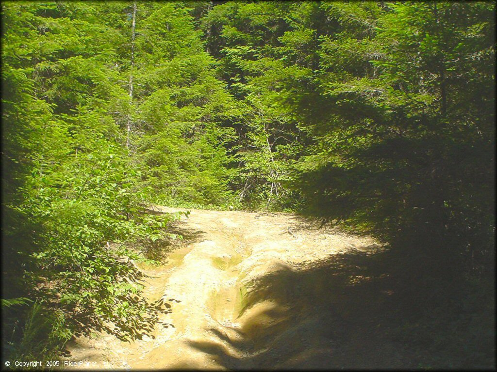 Some terrain at Prairie Peak Trail