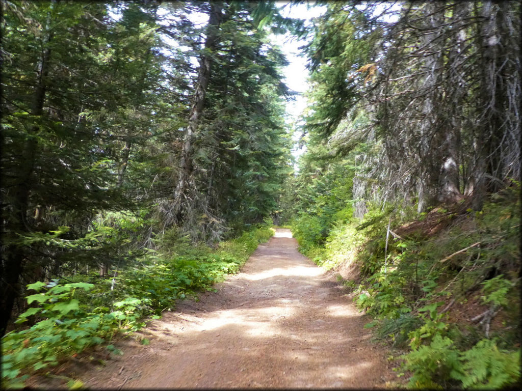 Elk City Wagon Road Trail