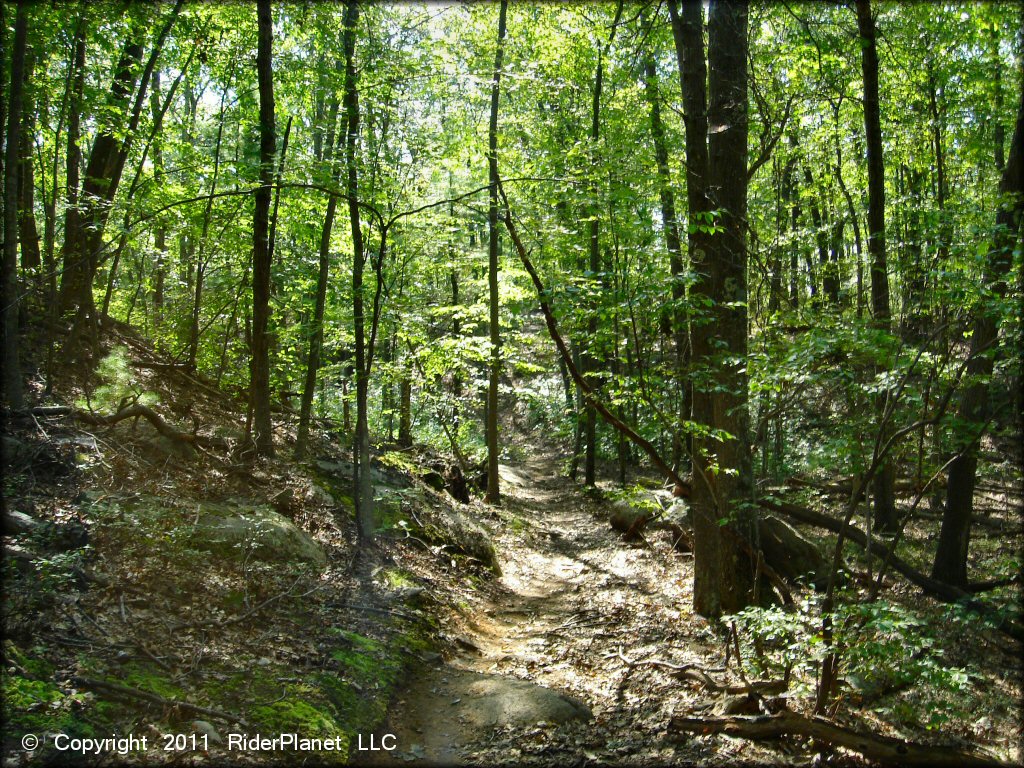 Example of terrain at Wrentham Trails