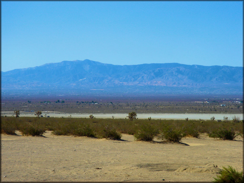 View of lakebed with scattered Joshua Trees.