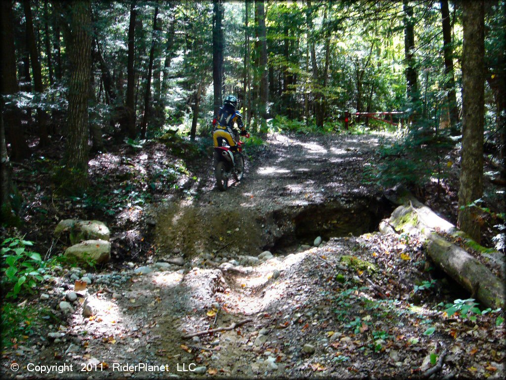 Honda CRF Off-Road Bike at Beartown State Forest Trail