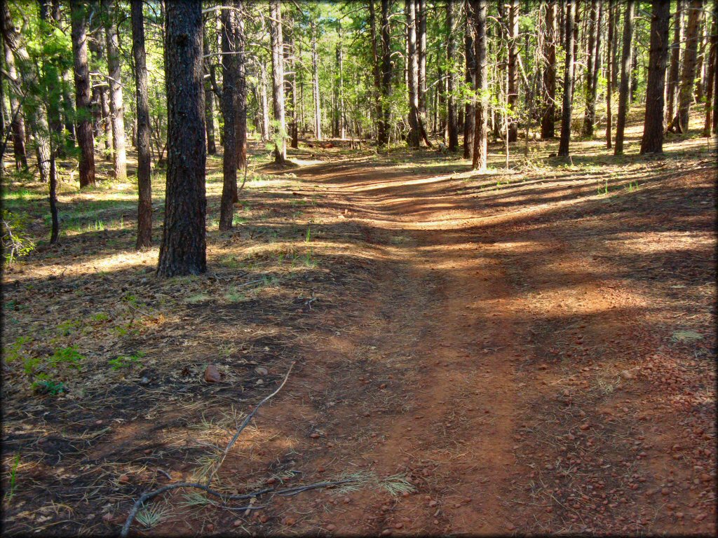 Munds Park OHV Trail System