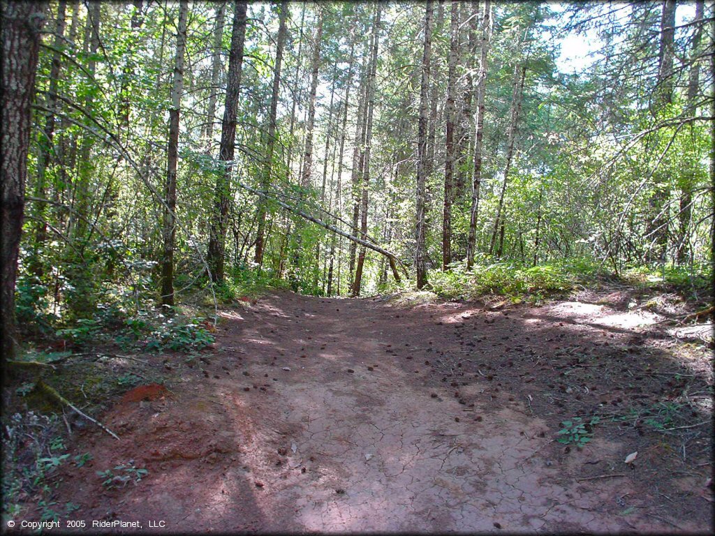 Example of terrain at Low Pass Trail