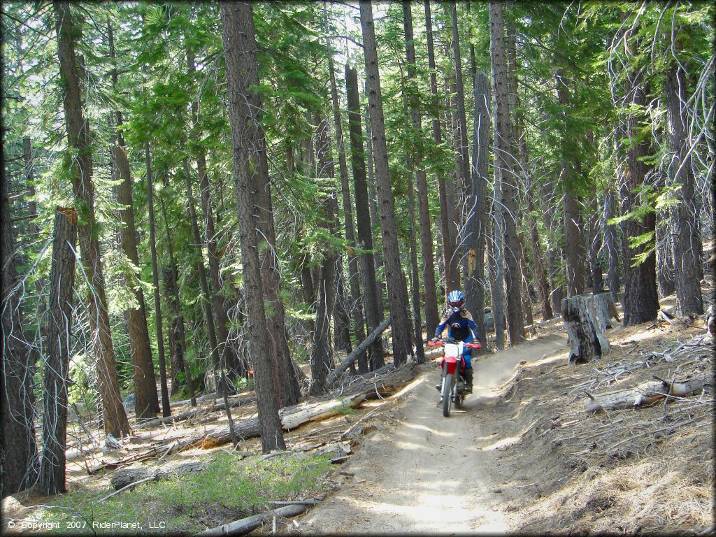 Honda CRF Dirt Bike at Corral OHV Trail