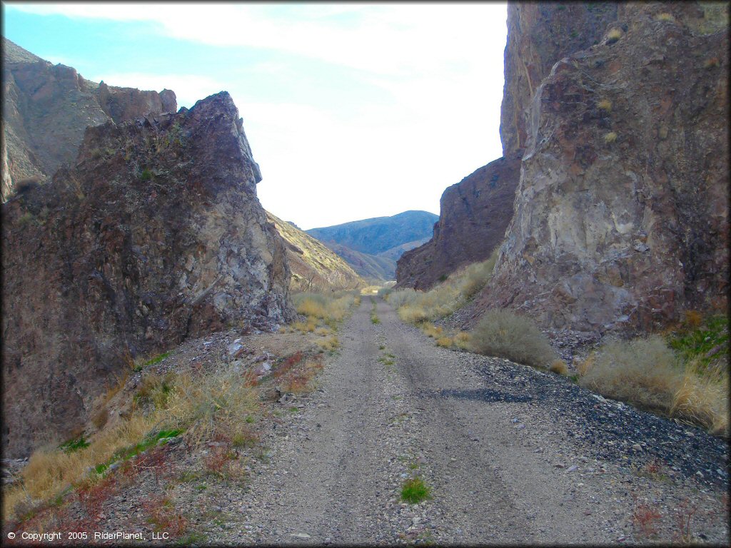 A trail at Panaca Trails OHV Area