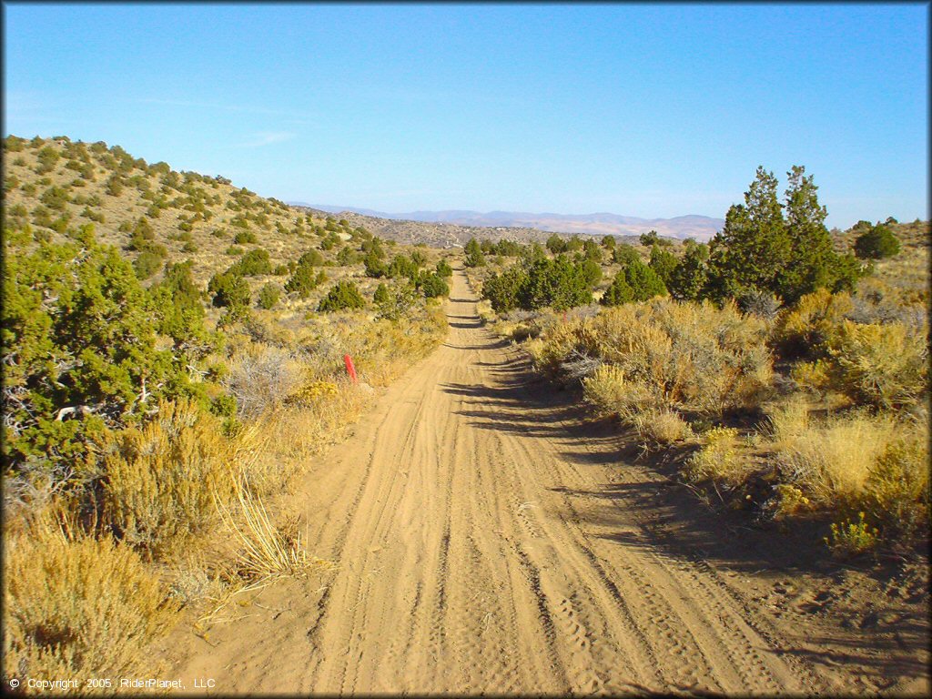 Stead MX OHV Area