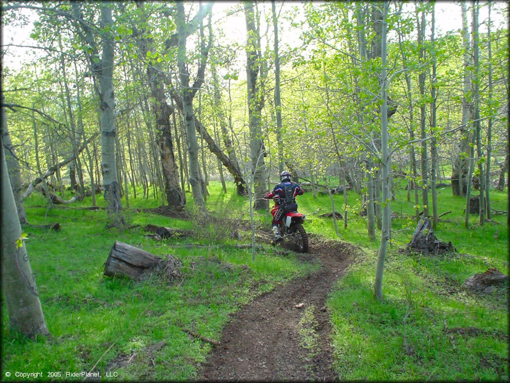 Honda CRF Motorcycle at Bull Ranch Creek Trail