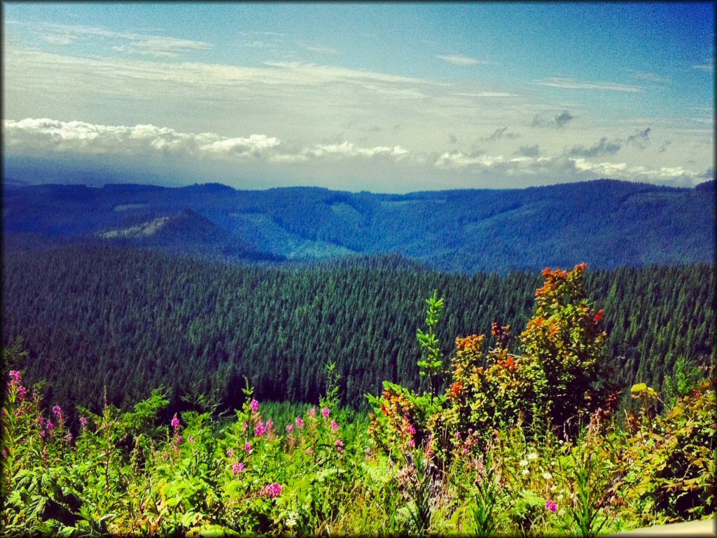 Scenery at LaDee Flats OHV Area Trail