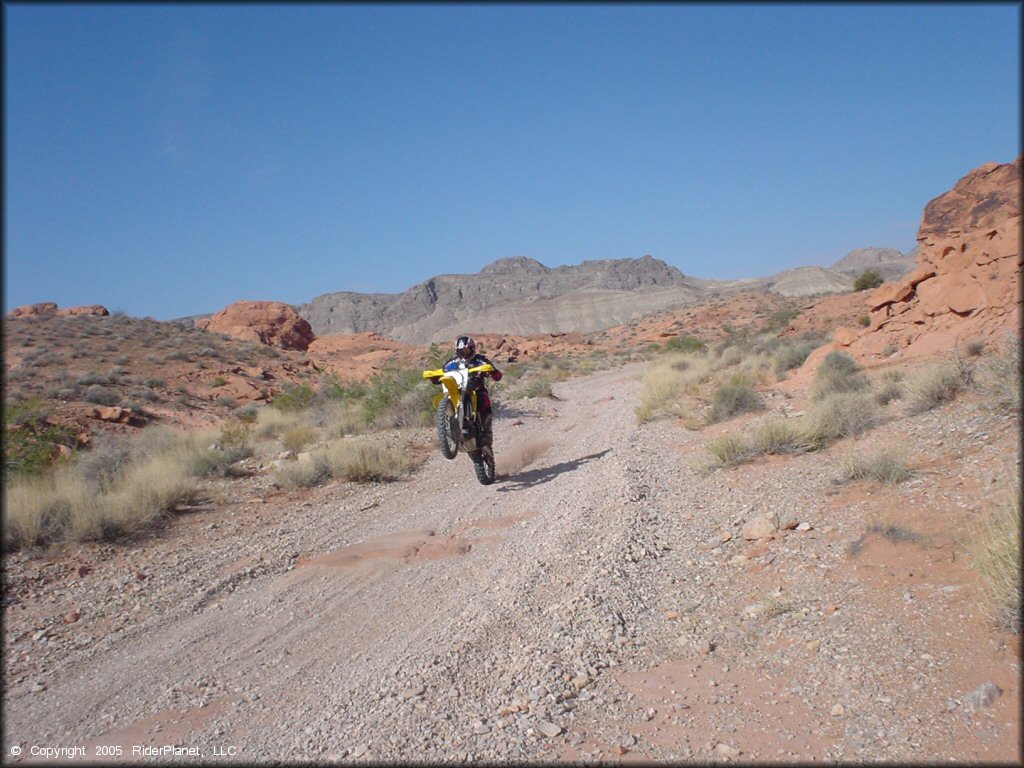 Man on Suzuki RM 250 doing a wheelie on gravel road.