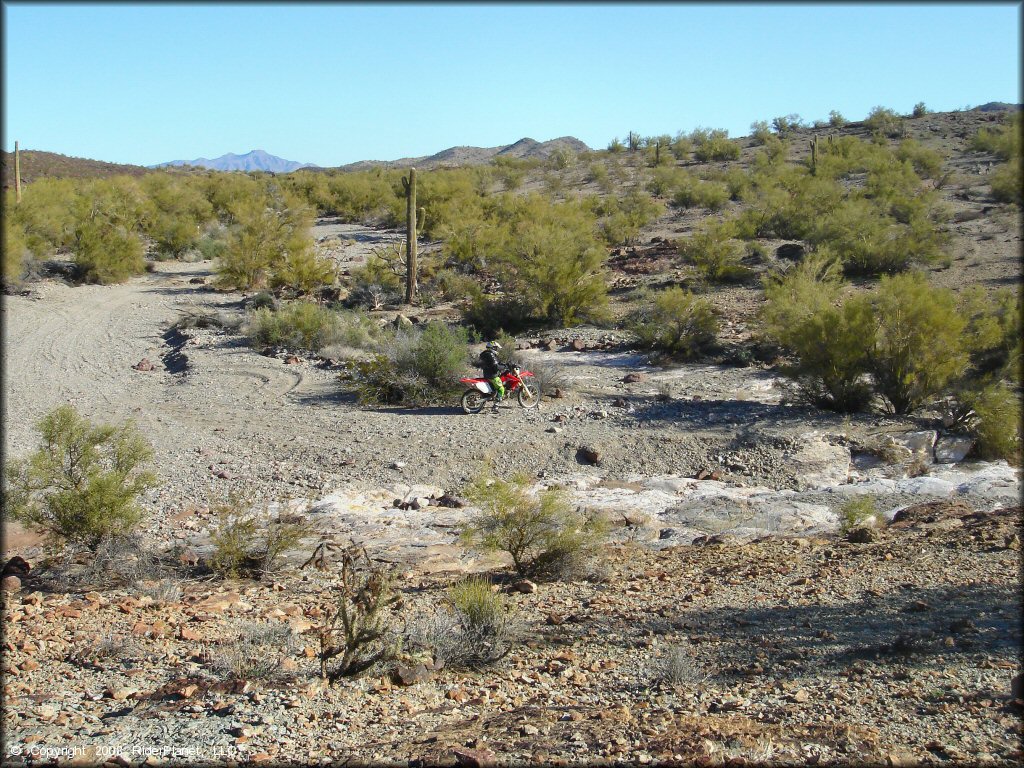 Honda CRF Dirt Bike at Swansea Townsite Trail