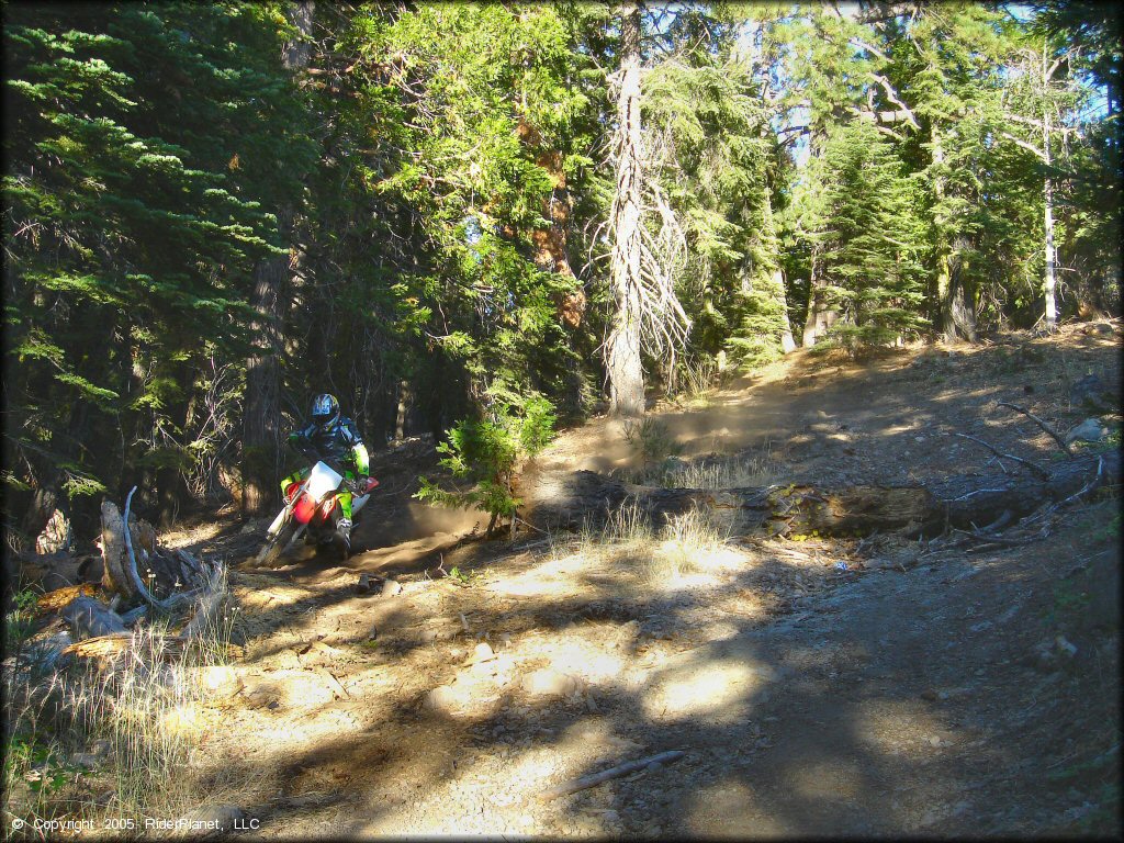 Honda CRF Trail Bike at Black Springs OHV Network Trail
