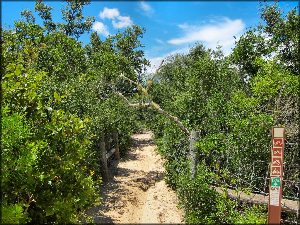 Scenic photo of sandy dirt bike trail.
