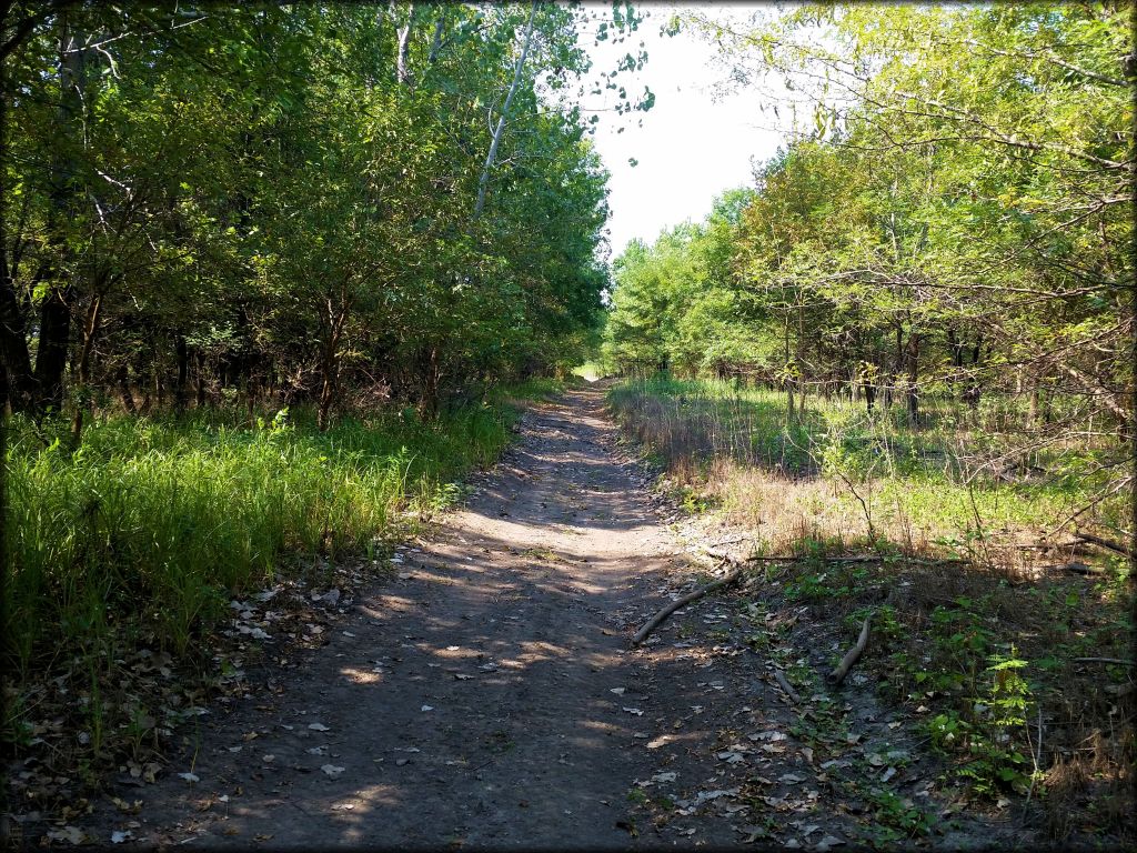 Otter Creek ATV Area Trail