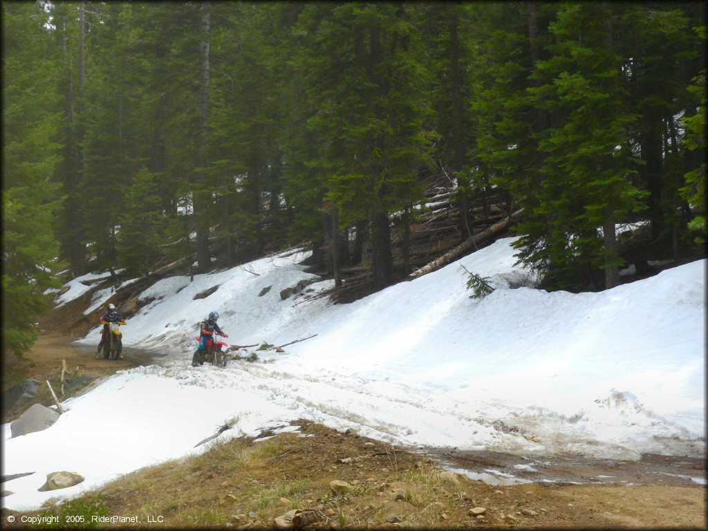 Honda CRF Dirt Bike at Verdi Peak OHV Trail
