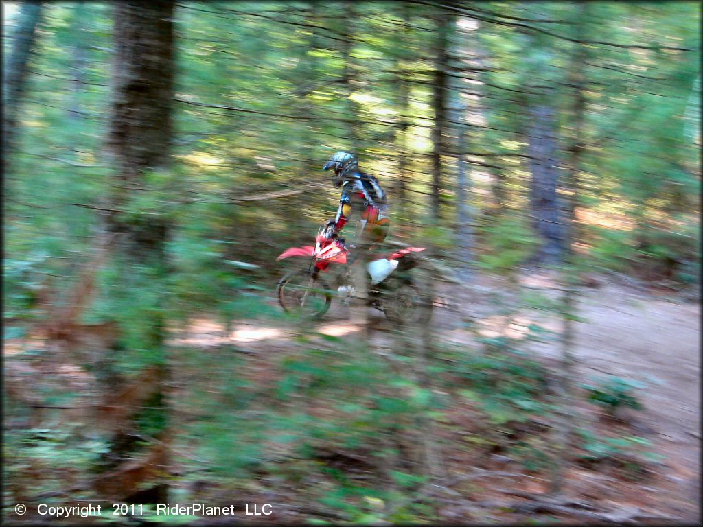 OHV at Freetown-Fall River State Forest Trail