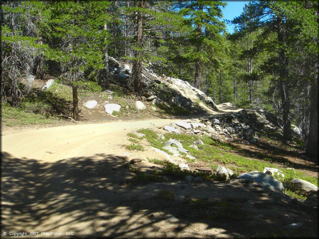 Example of terrain at South Camp Peak Loop Trail