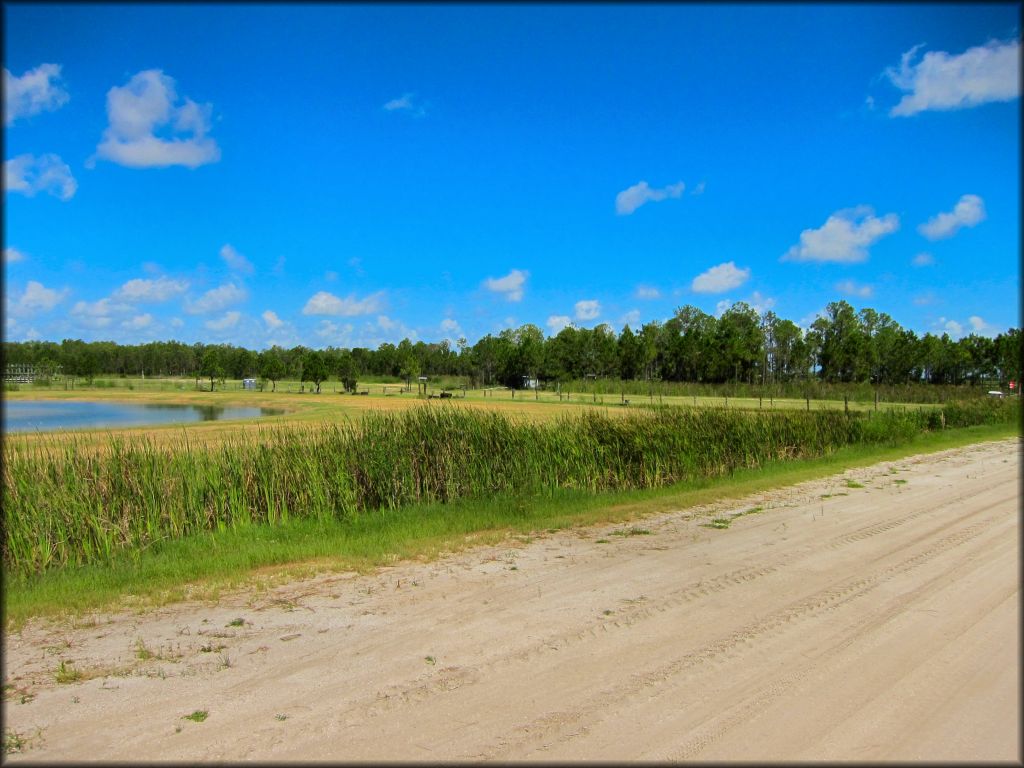 Redneck Mud Park Trail