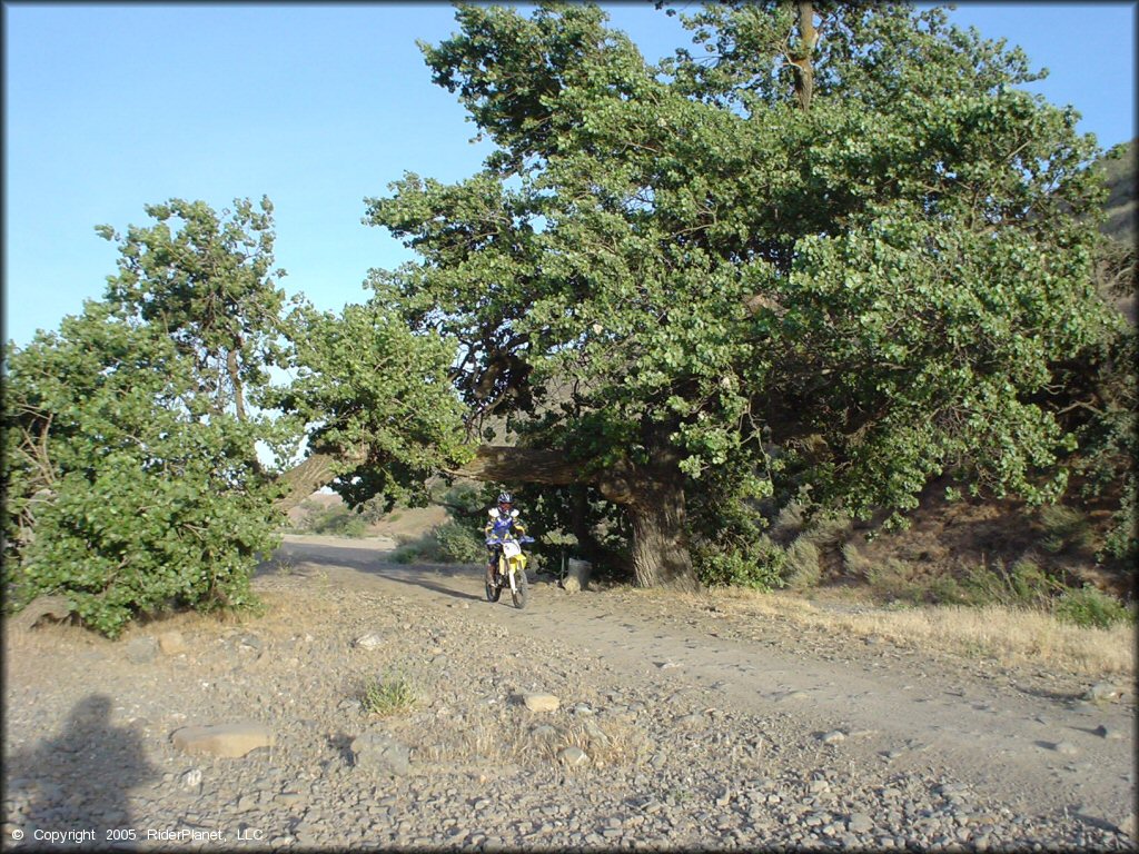 OHV at Carnegie SVRA OHV Area