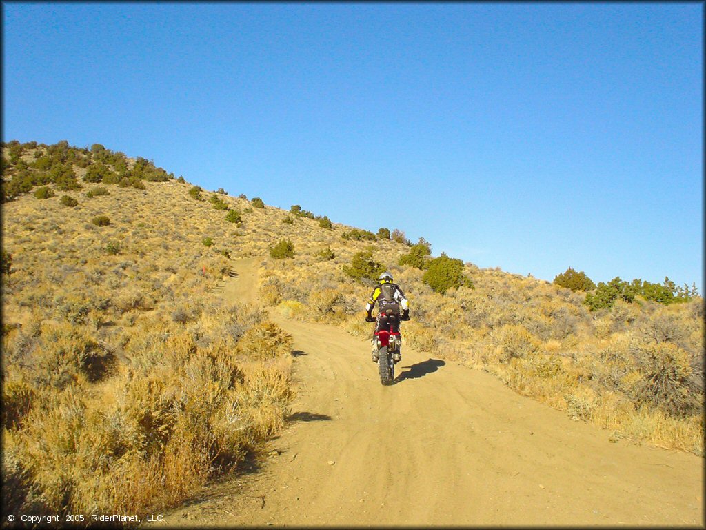 Honda CRF Motorcycle at Stead MX OHV Area