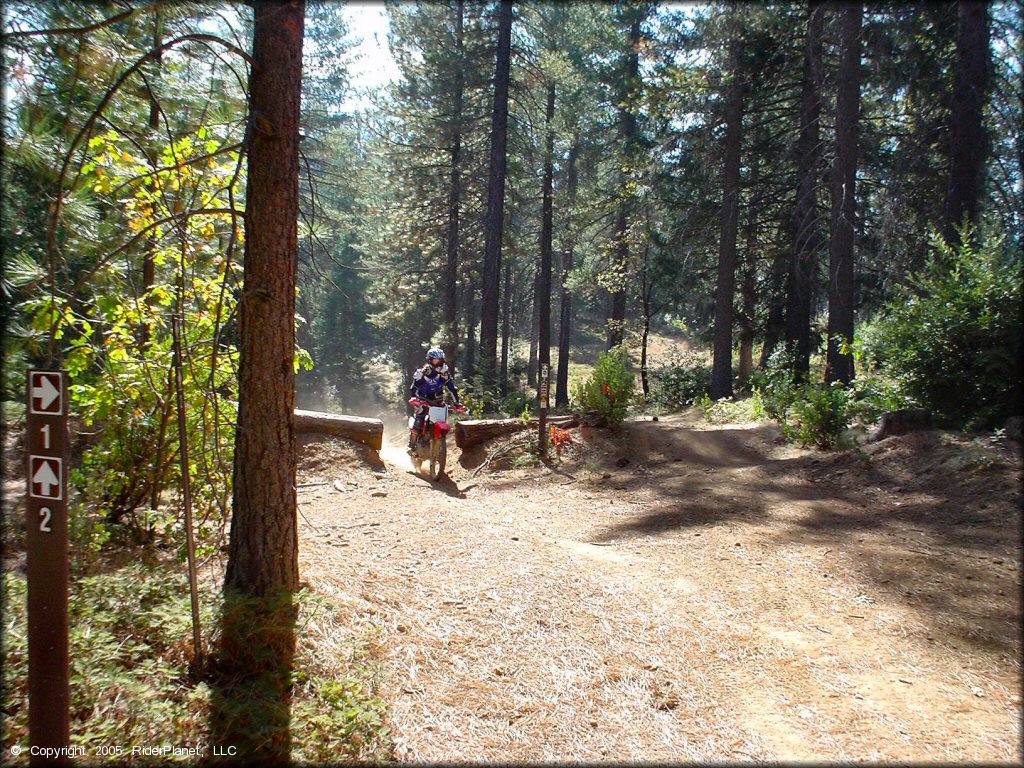 Honda CRF Dirt Bike at Georgetown Trail