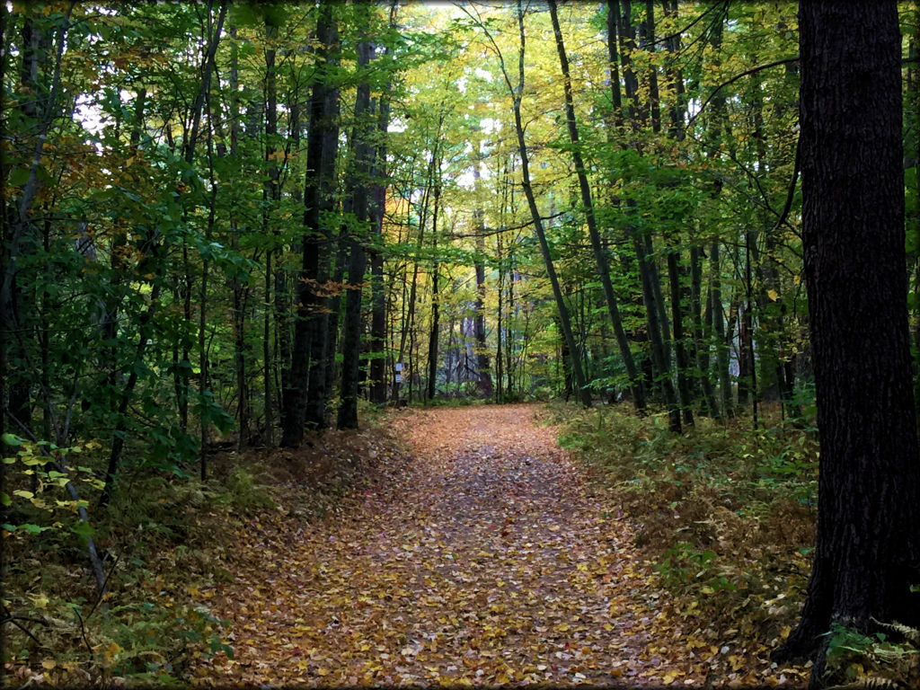 Valley View Walking Trails