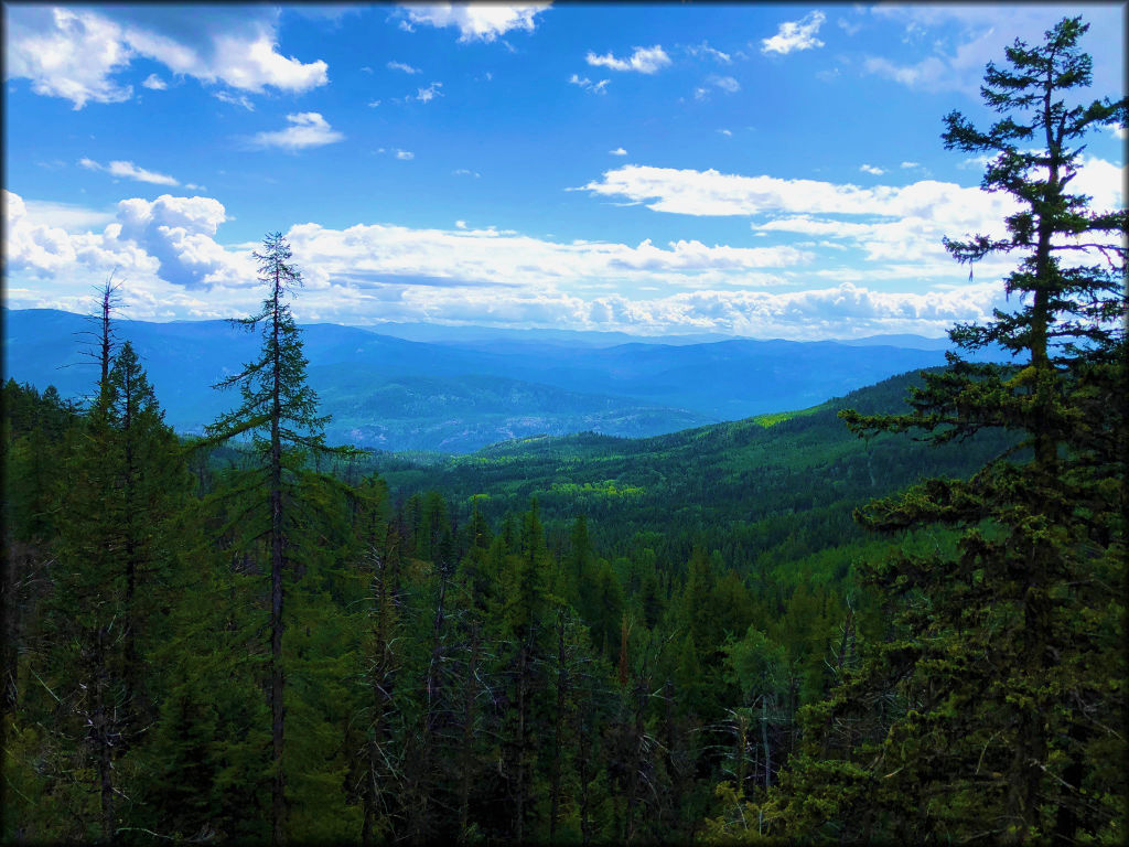 Owl Mountain Trail