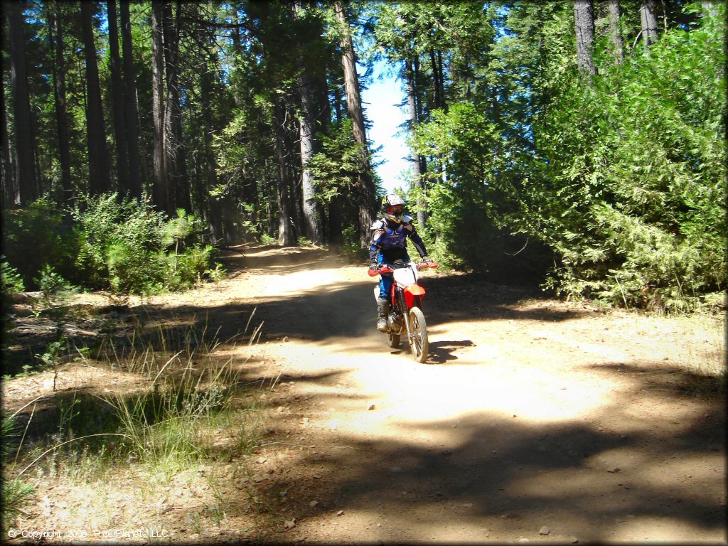 Honda CRF Dirt Bike at Gold Note Trails