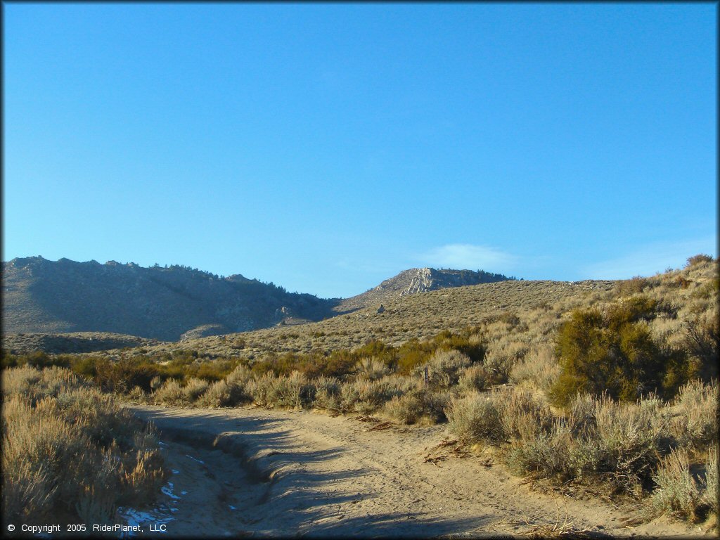 Jacks Valley Trail