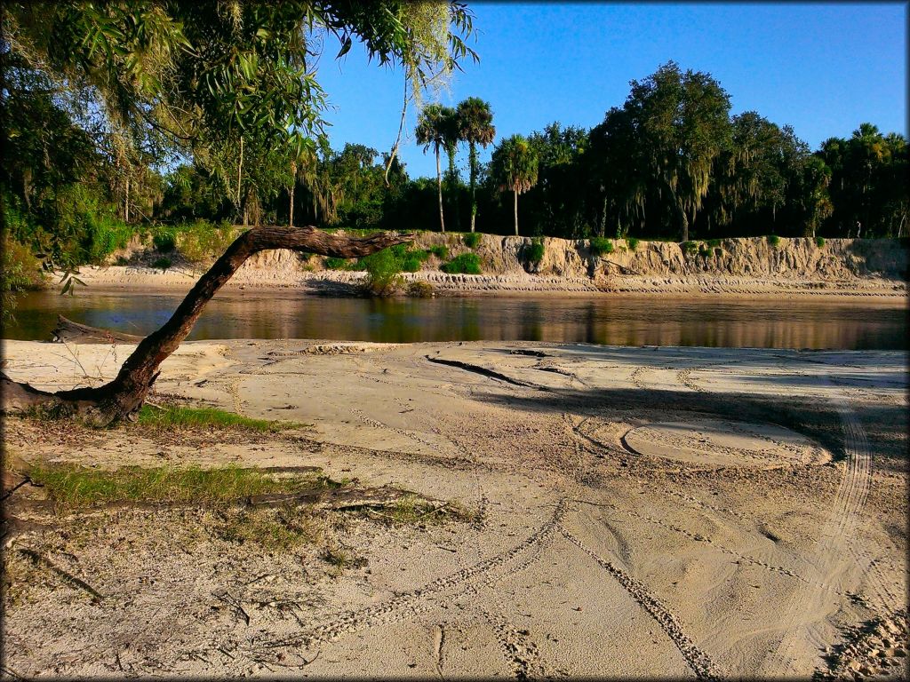 Peace River Campground Trail