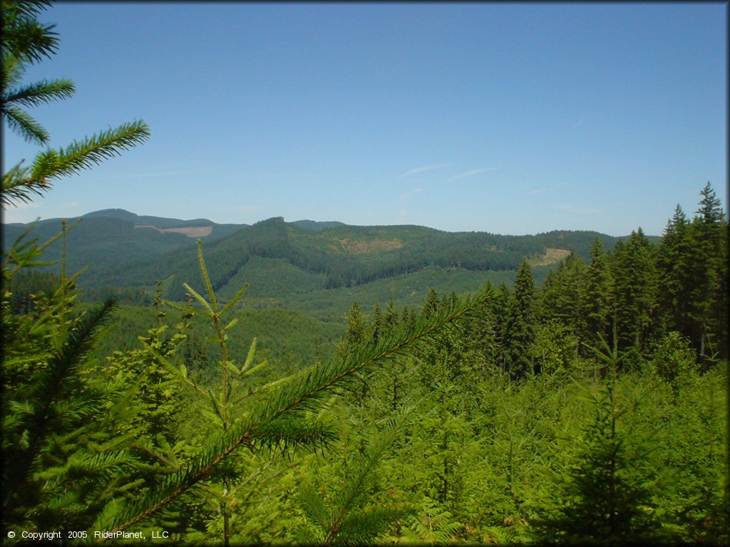 Scenic view at Upper Nestucca Motorcycle Trail System