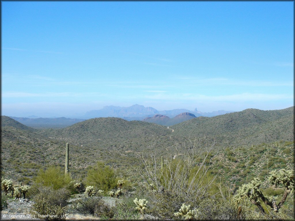 Panoramic view of desert scenery with rugged mountains, saguaro and cholla cacti.