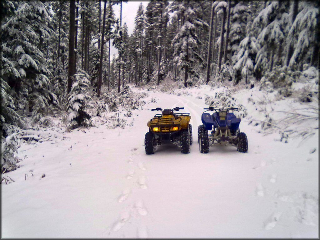OHV at LaDee Flats OHV Area Trail