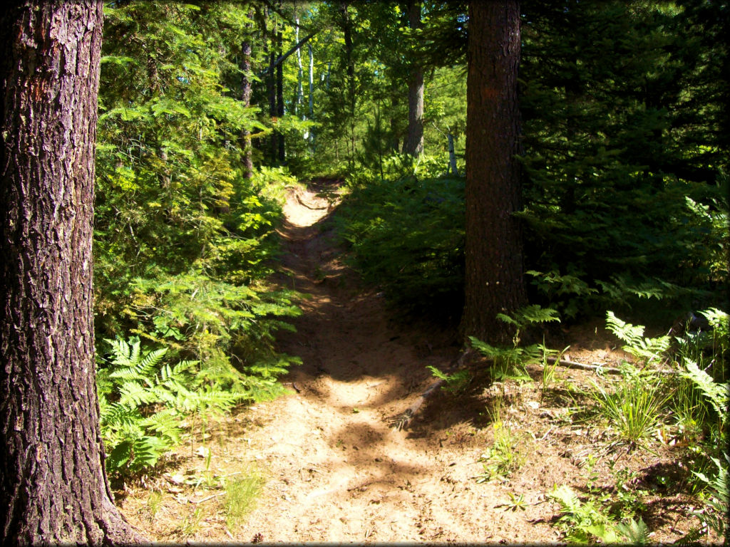 Bass Lake Motorcycle Trail