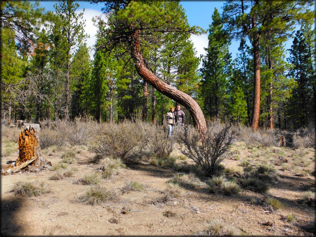 East Fort Rock OHV Trail System