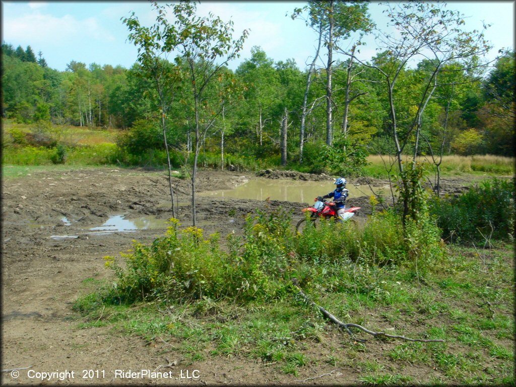 Honda CRF Motorcycle at Tall Pines ATV Park Trail