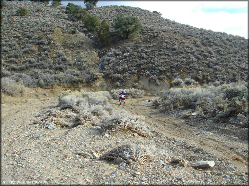 Honda CRF Motorcycle at Old Sheep Ranch Trail