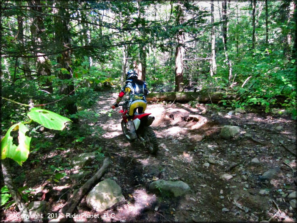 Honda CRF Motorcycle at Beartown State Forest Trail