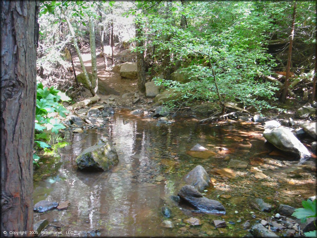 A trail at Elkins Flat OHV Routes Trail